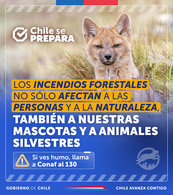 Portal Agroclimático (@agroclimaticocl) on Twitter photo 🦊🐶🐮Cuidemos a nuestros animales de los incendios forestales. Si ve fuego, llame inmediatamente al 130. <a href="/Senapred/">SENAPRED</a> <a href="/conaf_minagri/">CONAF - Corporación Nacional Forestal</a> <a href="/incendios_CONAF/">CONAF - Incendios forestales</a> <a href="/MinagriCL/">Ministerio de Agricultura de Chile 🇨🇱</a> <a href="/Sub_Agricultura/">Subsecretaría de Agricultura</a> 🦊🐶🐮Cuidemos a nuestros animales de los incendios forestales. Si ve fuego, llame inmediatamente al 130. <a href="/Senapred/">SENAPRED</a> <a href="/conaf_minagri/">CONAF - Corporación Nacional Forestal</a> <a href="/incendios_CONAF/">CONAF - Incendios forestales</a> <a href="/MinagriCL/">Ministerio de Agricultura de Chile 🇨🇱</a> <a href="/Sub_Agricultura/">Subsecretaría de Agricultura</a>