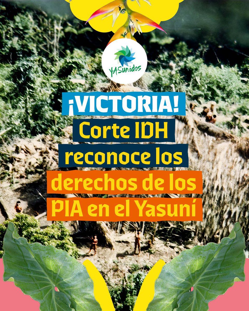 YASunidos (@yasunidos) on Twitter photo 📢 Histórico: La <a href="/CorteIDH/">Corte Interamericana de Derechos Humanos</a> resolvió a favor de los derechos de los pueblos indígenas en aislamiento y dictaminó que el Estado ecuatoriano debe realizar iniciar un proceso de reparación integral.
Esta es una victoria fundamental para los PIA y una razón más para exigir el 📢 Histórico: La <a href="/CorteIDH/">Corte Interamericana de Derechos Humanos</a> resolvió a favor de los derechos de los pueblos indígenas en aislamiento y dictaminó que el Estado ecuatoriano debe realizar iniciar un proceso de reparación integral.
Esta es una victoria fundamental para los PIA y una razón más para exigir el