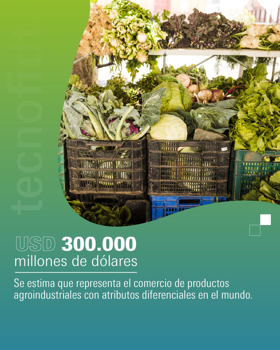 🌍💰 USD 300.000 millones en productos agroindustriales con valor agregado

El comercio global de productos agroindustriales con atributos diferenciales representa una cifra impactante. Innovación, calidad y diferenciación marcan el rumbo de un sector en constante evolución.