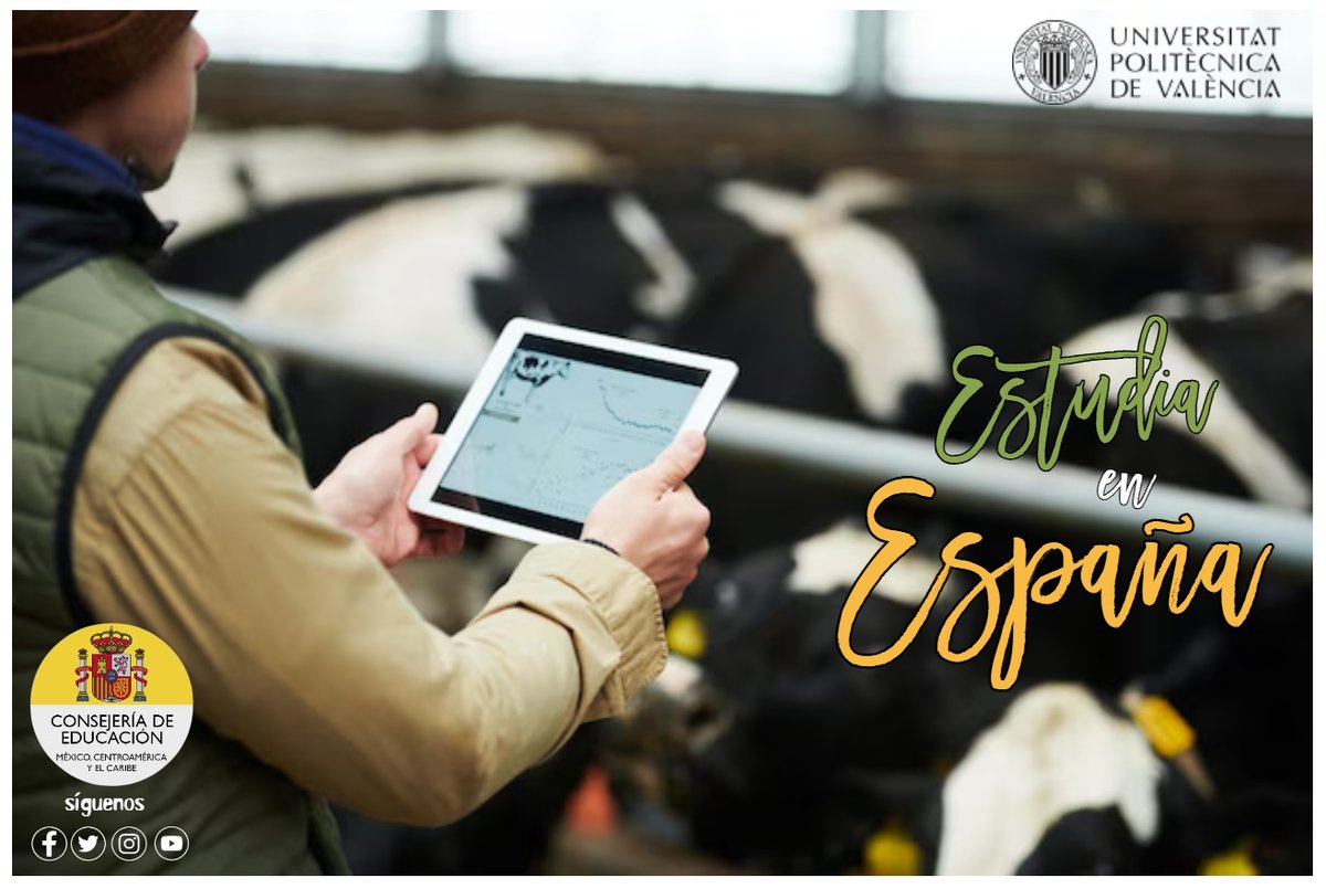 🗣️Buscas especializarte en aspectos clave de la ganadería moderna,💻🚜 estudia un Máster en Ganadería de Precisión en la <a href="/UPV/">Universitat Politècnica de València</a>.

✅Único máster en 🇪🇸, con posible doble titulación
👩‍🎓Agronomía, zootecnia y veterinaria
📈Alta empleabilidad
🔗upv.es/estudios/maste…

#DescubreEspaña