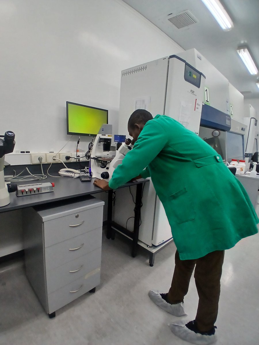 Muktar Lawan (@muktarlawan15) on Twitter photo I’m excited to have learned how to acquire spectral images that can transform healthcare. I look forward to exploring phasor analysis. Thanks to <a href="/MalacridaLab/">Leonel Malacrida</a>, <a href="/Marceladiazf/">Marcela Díaz</a> and the IPM community for their support and to my mentor <a href="/mahmoudbukar/">Mahmoud Bukar Maina PhD FRSA</a> for this career shaping opportunity I’m excited to have learned how to acquire spectral images that can transform healthcare. I look forward to exploring phasor analysis. Thanks to <a href="/MalacridaLab/">Leonel Malacrida</a>, <a href="/Marceladiazf/">Marcela Díaz</a> and the IPM community for their support and to my mentor <a href="/mahmoudbukar/">Mahmoud Bukar Maina PhD FRSA</a> for this career shaping opportunity