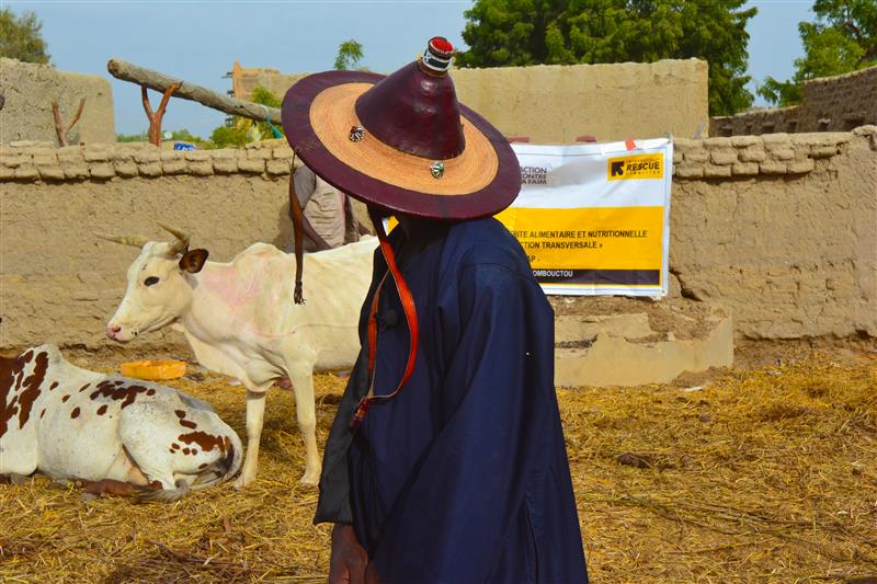 In 2024, some of the Economic Recovery &amp; Development actions by <a href="/RESCUEorg/">IRC - International Rescue Committee</a> #Mali 🇲🇱:

💰 Food aid for 3,807 people
💸1,000 families started economic activities
🌾Seeds for 1,772 farmers
🐄 Livestock renewal for 1,350 families
💪 34 women's associations supported (3,654 members).