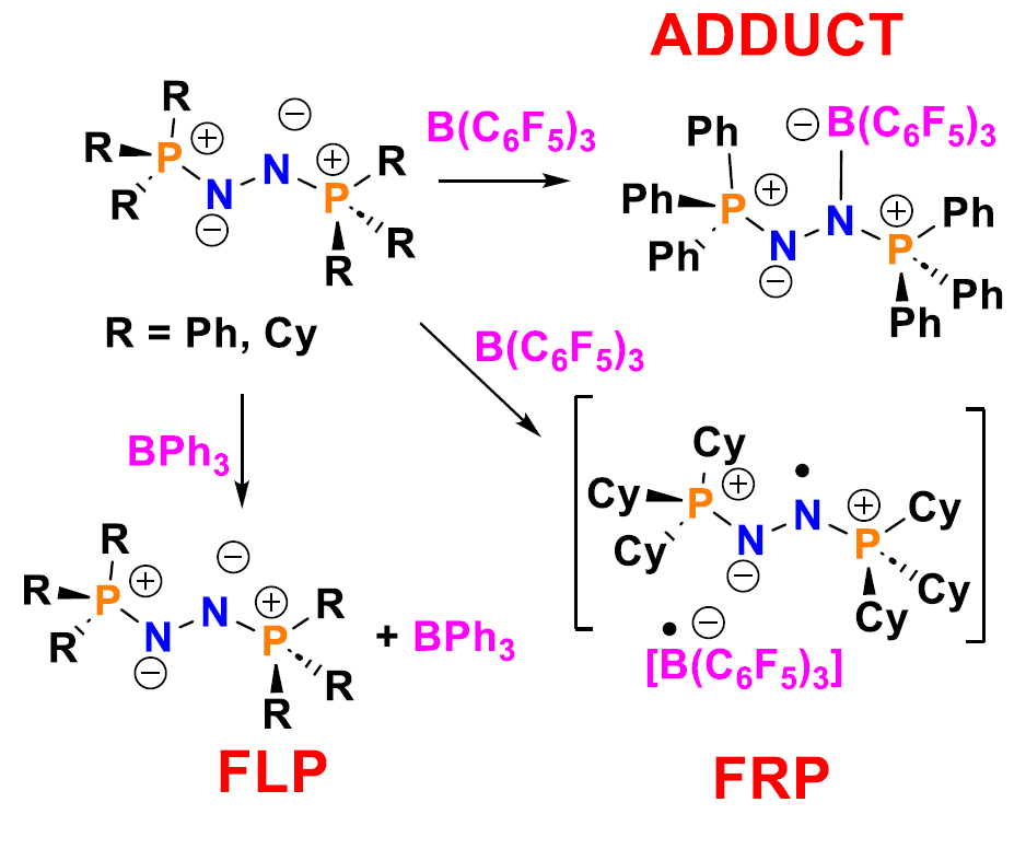 Reactions of R3PNNPR3 species with Boranes: Classical Adducts, FLPs and Radical Cations (<a href="/angew_chem/">Angewandte Chemie</a>): onlinelibrary.wiley.com/doi/10.1002/an… (@FLPchemist).