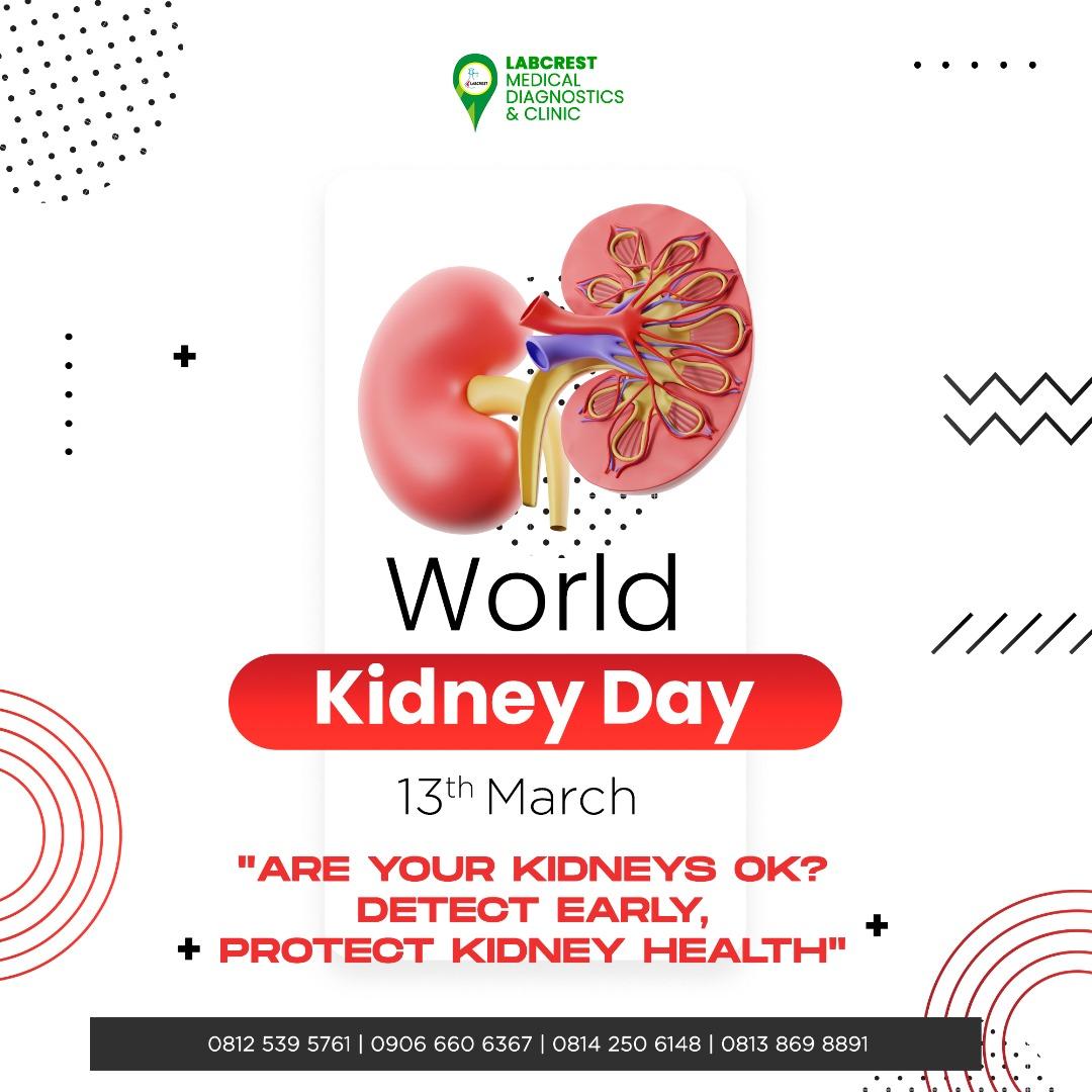LabcrestMedical's tweet image. Early Detection Protects Kidney Health. Do A Kidney Function Test Today