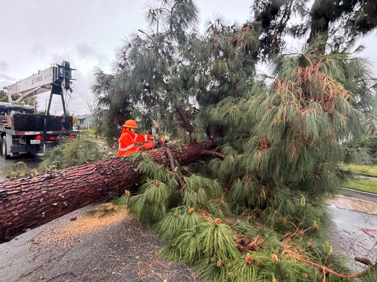 Assemblymember Lisa Calderon tweet media