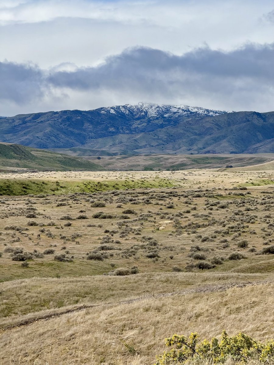 Westside Farmer tweet media