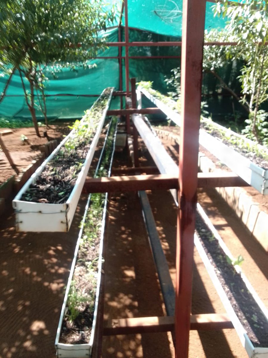 MT Foundation (@mtfoundation2) on Twitter photo 🌱 Introducing young learners to agriculture in their early school years is a great way to spark curiosity and build important life skills!#RACR <a href="/UNDPClimate/">UNDP Climate</a> <a href="/Sdg13Un/">🇺🇳 #UN 🇺🇳 #SDGs 🌏 #ClimateAction 🌐 #ActNow</a> <a href="/WBG_Climate/">World Bank Climate</a> <a href="/FAOclimate/">FAO Climate Change & Biodiversity</a> <a href="/mt_masego/">masego tshabalala</a> <a href="/ClimateReality/">Climate Reality</a> <a href="/climatemessages/">100 Climate Messages</a> 🌱 Introducing young learners to agriculture in their early school years is a great way to spark curiosity and build important life skills!#RACR <a href="/UNDPClimate/">UNDP Climate</a> <a href="/Sdg13Un/">🇺🇳 #UN 🇺🇳 #SDGs 🌏 #ClimateAction 🌐 #ActNow</a> <a href="/WBG_Climate/">World Bank Climate</a> <a href="/FAOclimate/">FAO Climate Change & Biodiversity</a> <a href="/mt_masego/">masego tshabalala</a> <a href="/ClimateReality/">Climate Reality</a> <a href="/climatemessages/">100 Climate Messages</a>