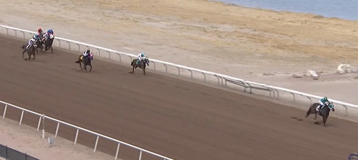 Darley in America (@darleyamerica) on Twitter photo 🔥Rose A, a #HardSpun half to G1W Senor Buscador, runs a hole in the wind <a href="/SPRacino/">Sunland Park Racetrack & Casino</a> winning by 16 lengths and just missing the 5 1/2-furlong track record by 1/5 of a second - 1:01.99!
🫵Congrats to breeder <a href="/joepeacockjr/">Joey Peacock</a> and the Peacock Family Racing Stable! 🔥Rose A, a #HardSpun half to G1W Senor Buscador, runs a hole in the wind <a href="/SPRacino/">Sunland Park Racetrack & Casino</a> winning by 16 lengths and just missing the 5 1/2-furlong track record by 1/5 of a second - 1:01.99!
🫵Congrats to breeder <a href="/joepeacockjr/">Joey Peacock</a> and the Peacock Family Racing Stable!