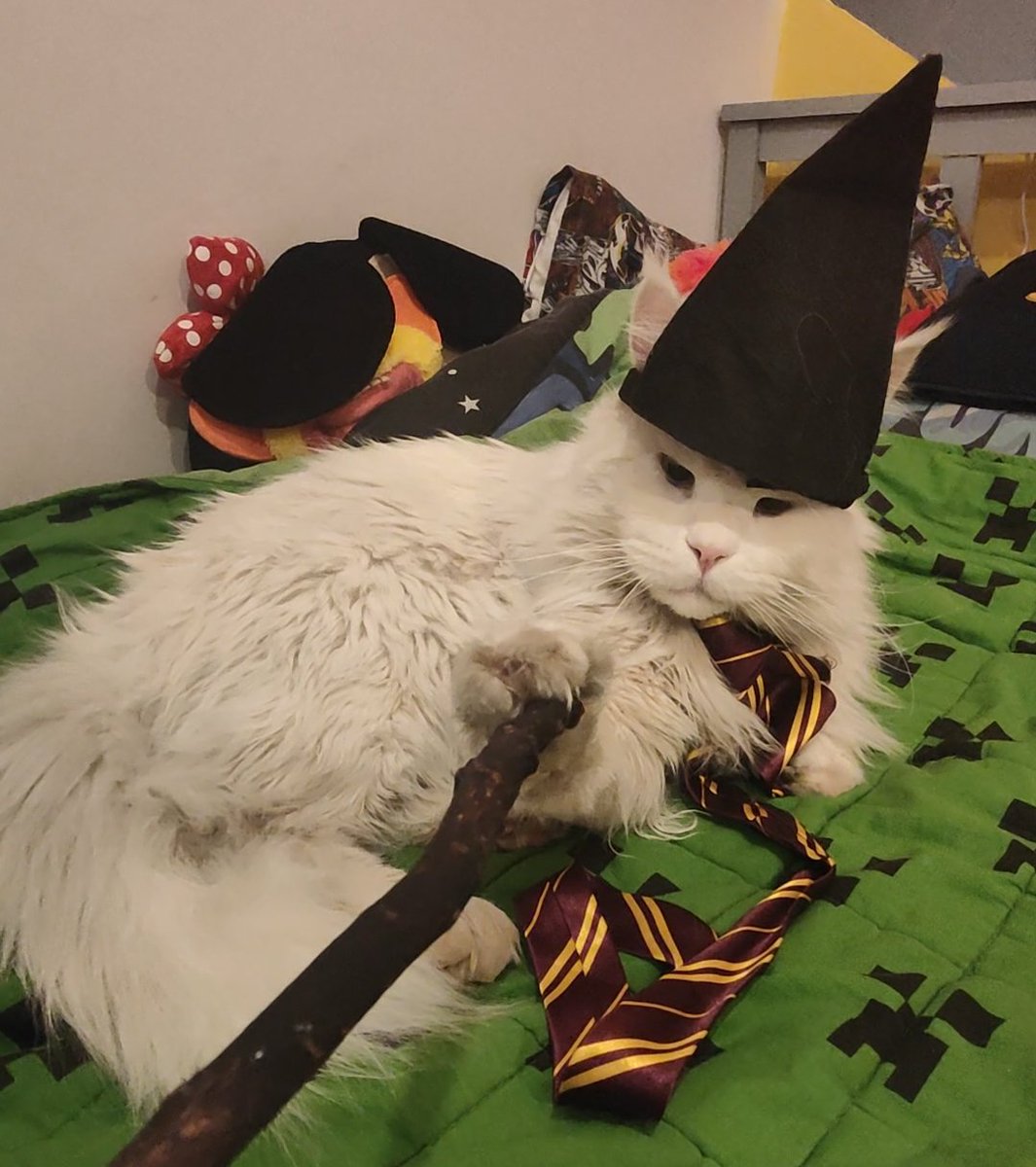 EmmaStan22's tweet image. Taskmaster Challenge for World Book Day. Entry from NS Y7.
He has enjoyed celebrating by reading lots of Tom Gates! Meet Albus (affectionately known as Albus Dumble-paws) dressed up today as his student Ronald and Elsa taking on a new role in the freeze frame as the MoD. π