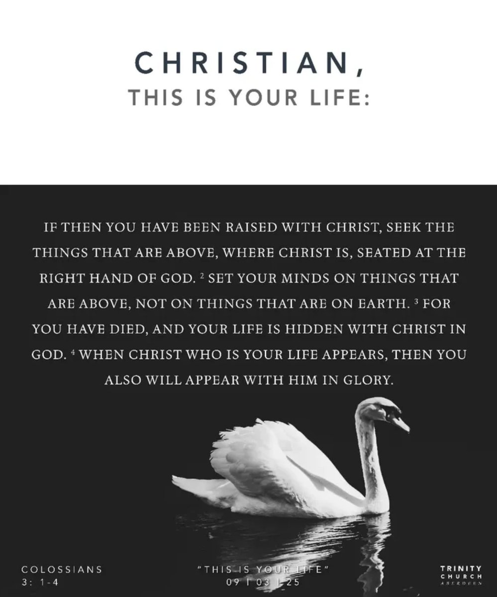 Sinclair Ferguson's sermon on Colossians 3:1-4

youtu.be/u85OBTBJVr0?si…