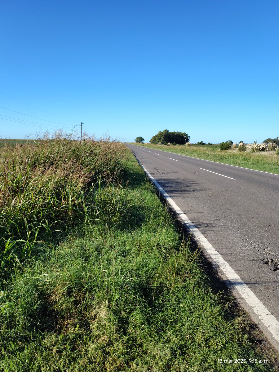 Joaquín Lascombes 🇦🇷 (@joacolascombes) on Twitter photo Buen estado de la ruta nacional 33 entre América y Gral Villegas..... Buen estado de la ruta nacional 33 entre América y Gral Villegas.....