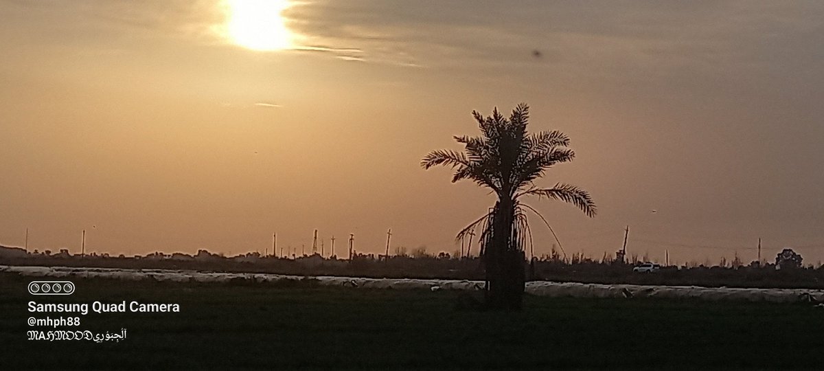 لا سلطـة لنـا على قلوبنـا هى تنبـض لمـن أرادت …!”