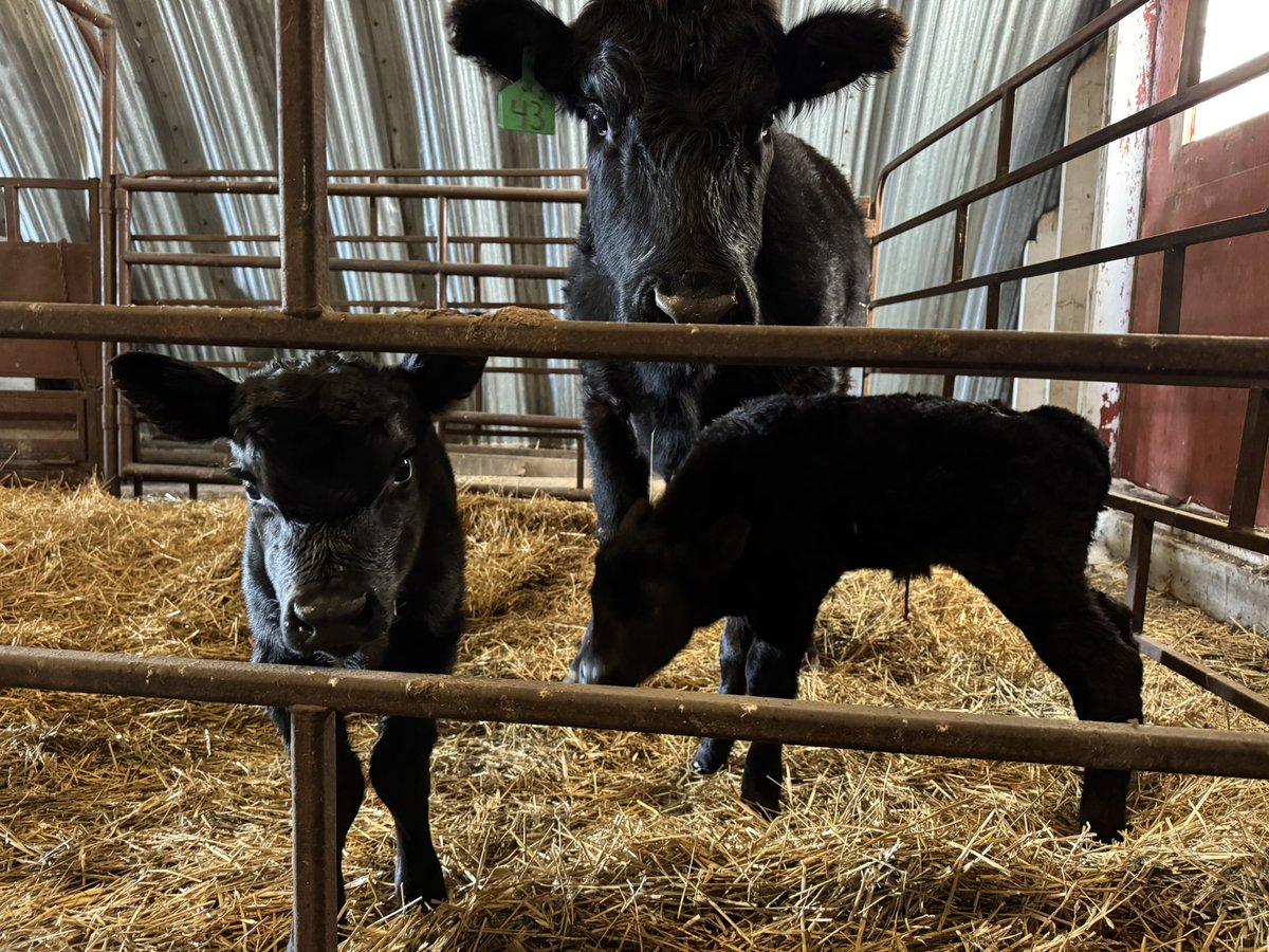 Michael Rempel tweet media