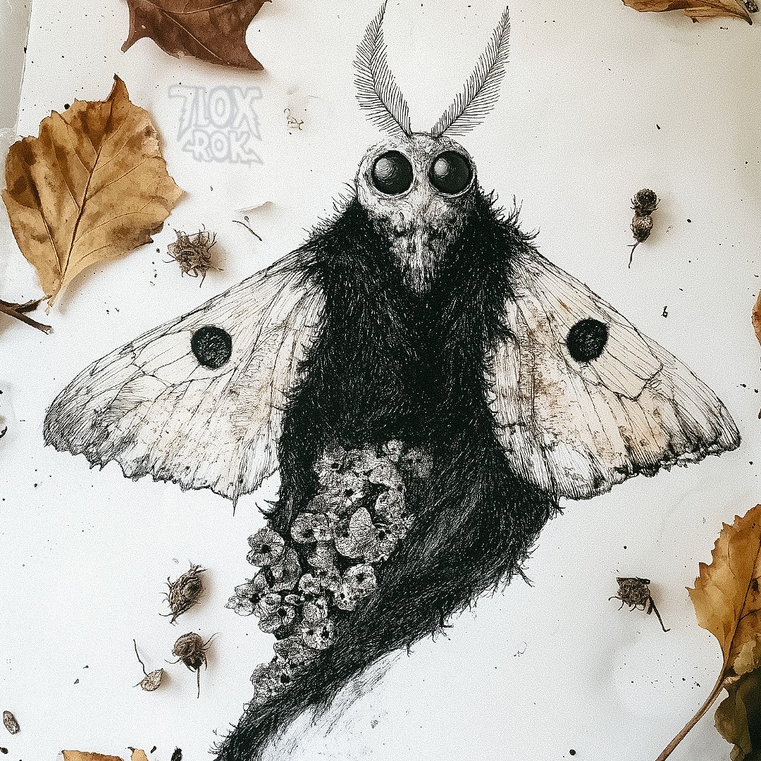 I drew this moth from a dream, or perhaps it drew itself through me,  pulling from something older, something waiting. If  it landed upon your lips, would you let it stay, or would you feel its  gentle weight and know it has already made its home beneath your skin? #7LoxRok