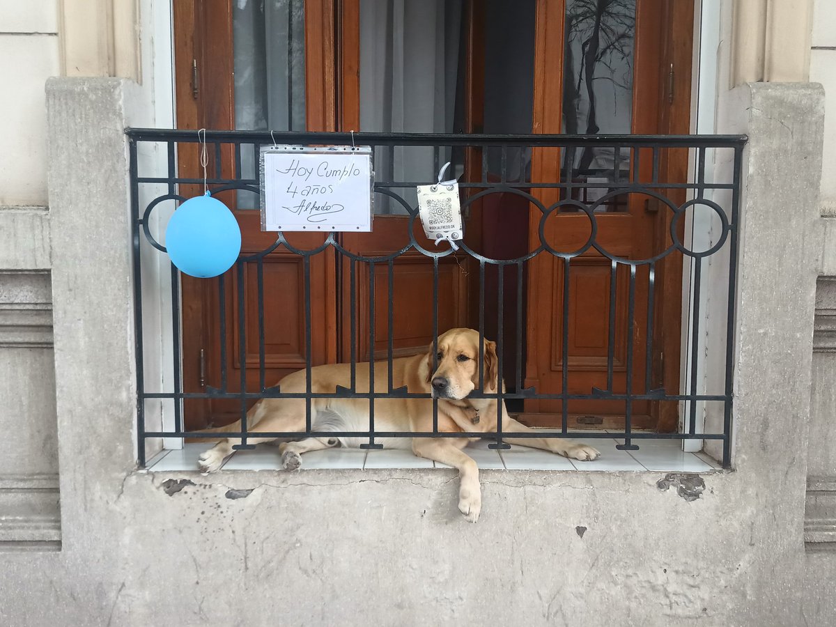 en Bahía hoy te cruzás con barro, agua, militares, bomberos, más barro, calles cortadas, más militares y con Alfredo que cumple 4 años y los festeja desde la ventana con un globo