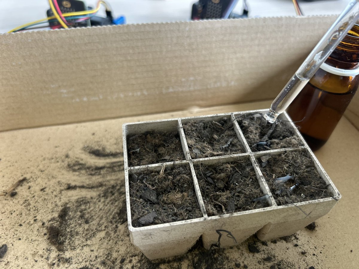 fontdelroure's tweet image. 🏡🌱 Al #ProjecteFAIG, l’alumnat de cicle inicial inicia el camí: prepara el jardí de les olors amb llavors oblidades, creant un espai comunitari. Un projecte que arrela! 🌿✨ #FAIGlab