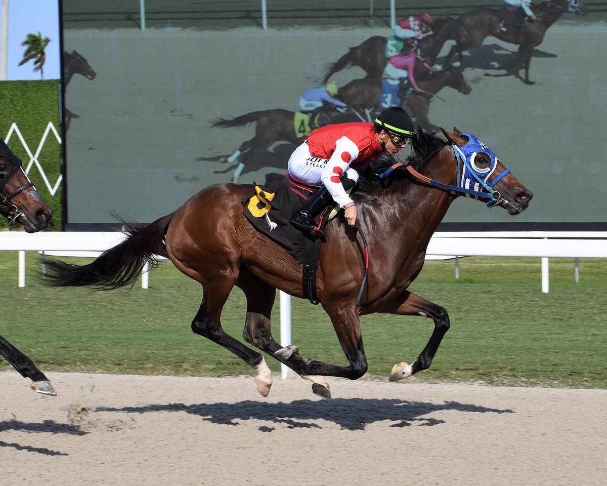 Gulfstream Park (@gulfstreampark) on Twitter photo Bakers Street battles back to take race 8, <a href="/Tyler_Gaff/">Tyler Gaffalione</a> rode for trainer <a href="/sanoracing/">Antonio Sano</a> and owner Cloud Nine Lumoni. #GulfstreamPark #ChampionshipMeet Bakers Street battles back to take race 8, <a href="/Tyler_Gaff/">Tyler Gaffalione</a> rode for trainer <a href="/sanoracing/">Antonio Sano</a> and owner Cloud Nine Lumoni. #GulfstreamPark #ChampionshipMeet