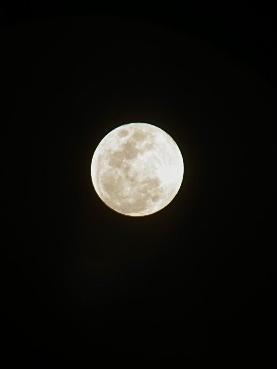 Sammy Flores tweet media