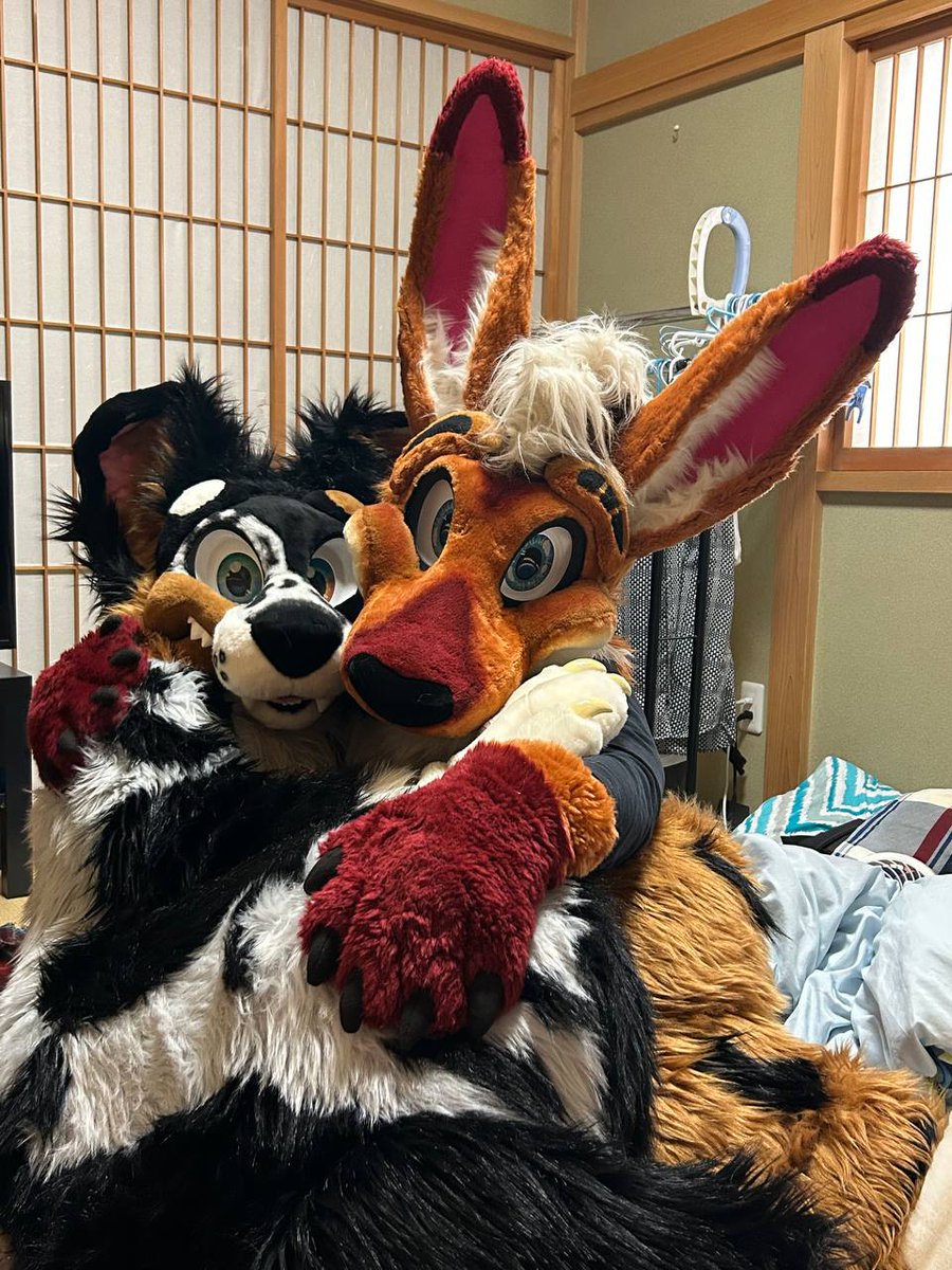 #FursuitFriday with <a href="/_riku_fur/">BEANS</a>! Got to spend time when him during my work visit to Japan!

🪡 <a href="/MoreFurLess/">More Fur Less</a> 
📷 <a href="/LesserMasato/">マサト＆烈鎖</a>