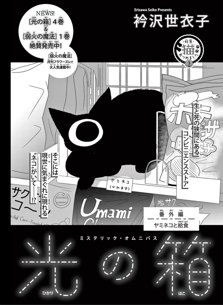 増刊フラワーズ春号、本日発売!
【特集】猫あつめました🐾
「光の箱」番外編「ヤミネコと給食」掲載しています 