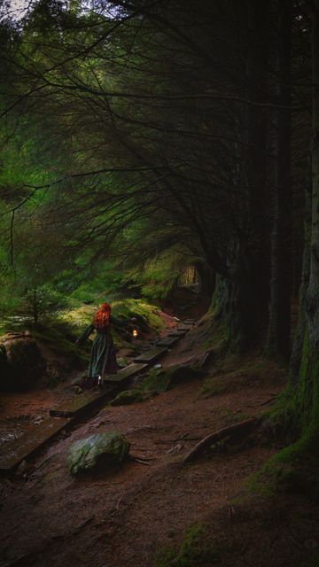 ninaslostnfound's tweet image. "I have spread my dreams under your feet. 
Tread softly because you tread on my dreams."

- William Butler Yeats  (1865-1939)  #IrishWriters

📸 Kelly Prince-Wright:  Ballinastoe Woods, Wicklow, Ireland