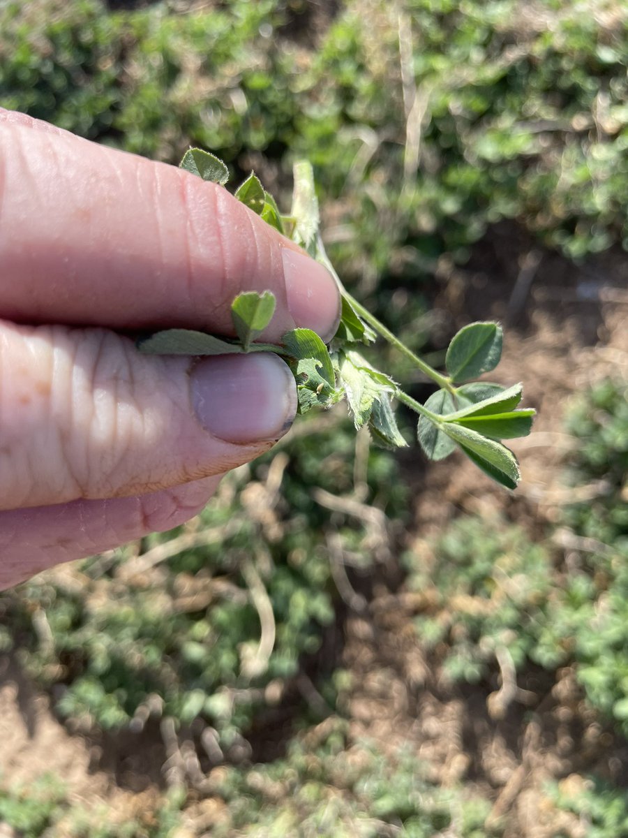 Jeff Seiler tweet media