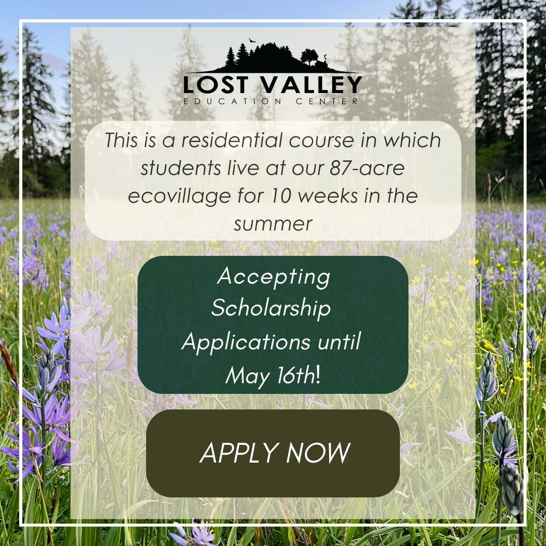 🌱 THE JOURNEY STARTS HERE 🌱
Transform your life with our Holistic Sustainability Semester at Lost Valley! 
✨ SUMMER 2025: JUNE 6-AUG 16 ✨
📣 SCHOLARSHIPS AVAILABLE for marginalized communities in Lane, Linn &amp; Benton counties!

Apply here.

lostvalley.org/financial-aid