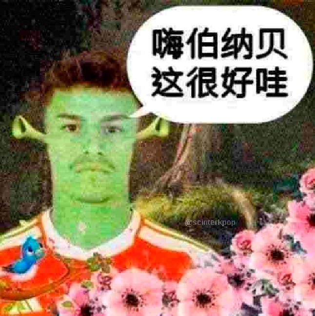 nao façam perguntas