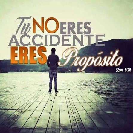 Maynor morales (@maynor69110298) on Twitter photo 