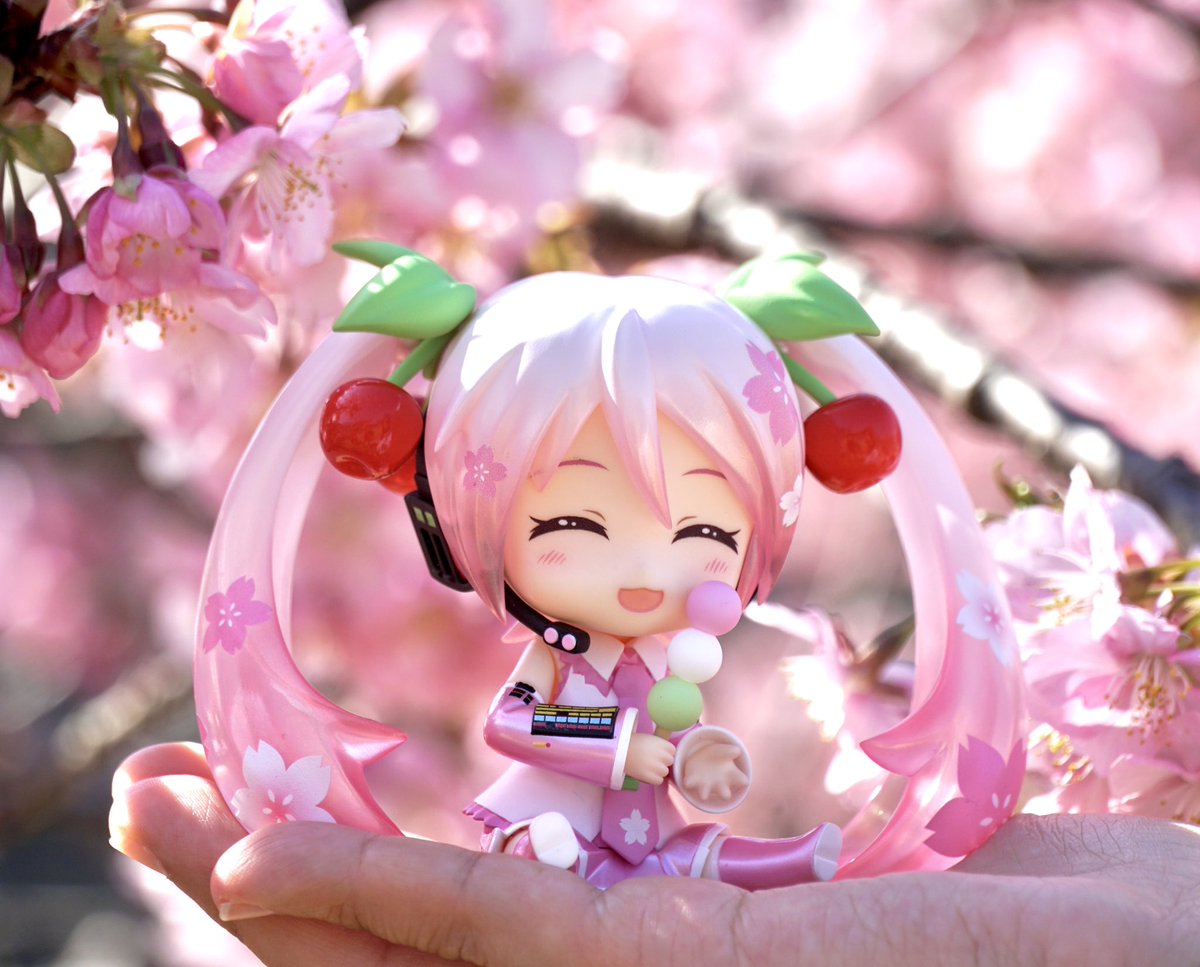 🌸ご予約受付中🌸

ねんどろいど 桜ミク 2.0
＿＿＿＿＿＿＿＿＿＿

⚠️グッスマ公式ショップ限定です！一般の店舗さんには並びませんのでご注意ください。
⚠️受注生産です。ご予約で必ずお迎えいただけますのでご安心ください。

▶️goodsmile.link/tWMOpg

#ねんどろいど #桜ミク #初音ミク