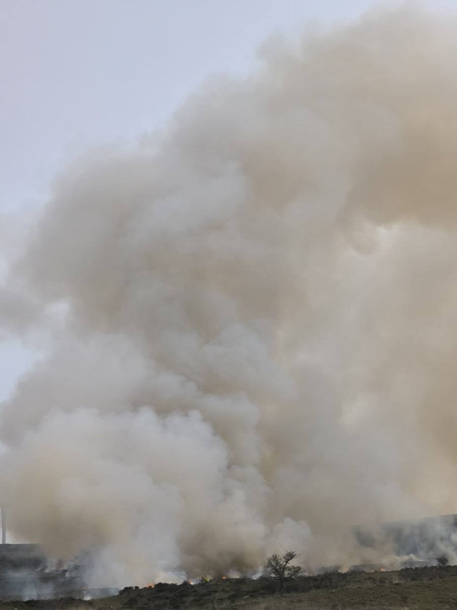 Os dejamos imágenes de las quemas prescritas #Rx realizadas hace días en #LasAldehuelas #Soria con #EPRIFLubia #ELIFGarray #autobombas, #AAMM y técnicos de #JCyL. Objetivos: regeneración de pastos, disminución de carga de matorral (#Genistascorpius), #prevenciónIIFF y formación