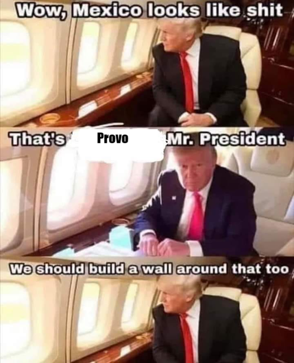 ElonMUSS's tweet image. 