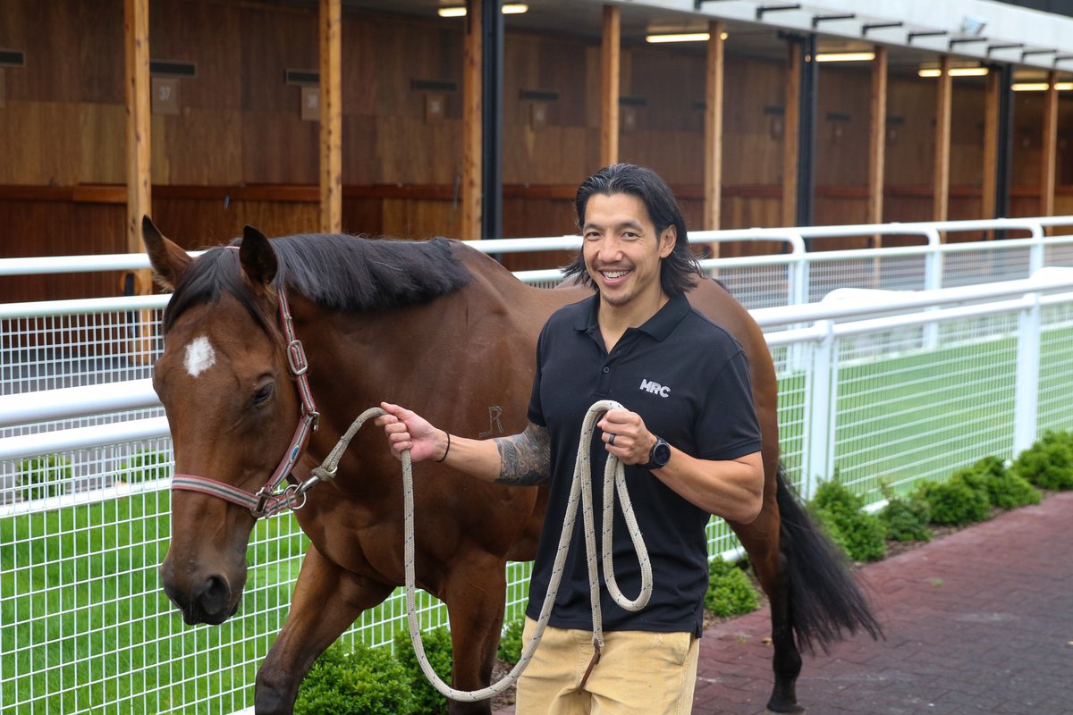Thanks to the <a href="/mrc_foundation/">MRC Foundation</a>, we were lucky enough to be visited by the Equine Pathways Australia team at Caulfield yesterday.

Two sessions were held to help staff without previous exposure to horses feel more comfortable around the equine athletes that drive our industry.

We