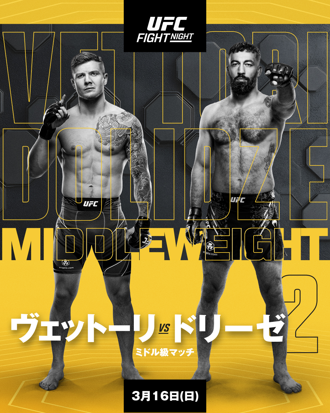 UFC JAPAN 2012.2.26 ブルーレイ5枚組 日本版