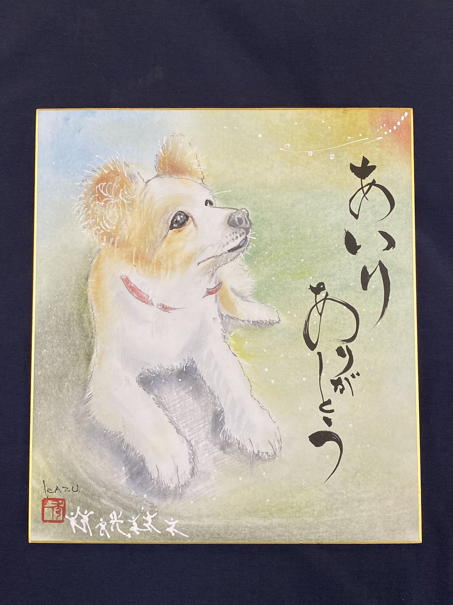 tabe00624939's tweet photo. 先月末、富来の避難所のアイドルでもあり
ボランティアの皆さんからも愛されてた『アイリ』が亡くなったとの飼い主さんからの電話

後日、絵を持って会いに行ってきました
昨日のYahooニュースと北國新聞夕刊と朝刊にも掲載されてました。
素敵な出逢いに感謝です

https://t.co/mZgrq5HLHf https://t.co/gaCigWIPTa