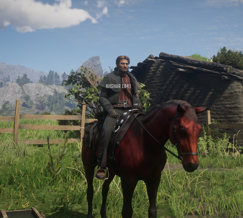 Spirit, le cheval préféré de ton cheval préféré. 😋