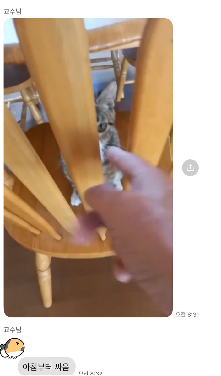 힘들게 찾아놓고서
왜 고양이랑 아침부터 삿대질하고 싸우시는데요