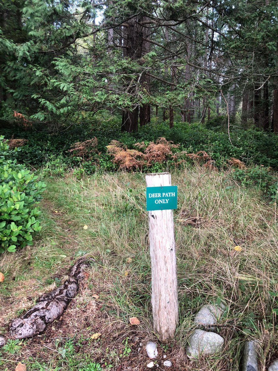 DilettanteryPod's tweet image. 