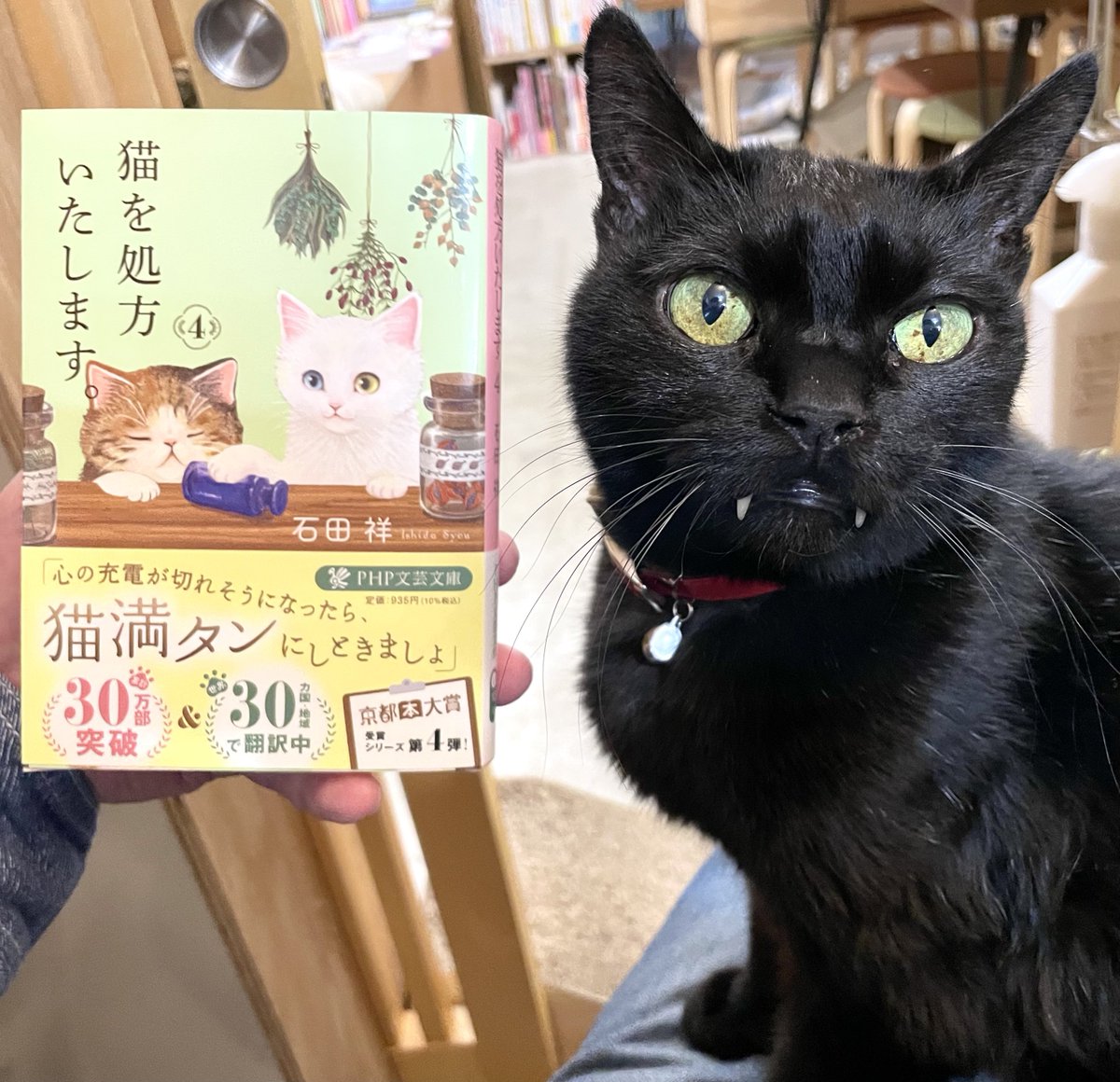 CatsMeowBooks's tweet image. 『猫を処方いたします。』第4巻は、今回も猫が効いて前向きになれるエピソードから始まりますが、過去巻の登場人物が徐々に絡みだし、次巻以降へのクライマックスに向かっている予感が……😢これまでの紹介は引用元にございます。
『GOMA 黒ネコ、日々色々。』原画展8日目。本日も11-19時の営業です。