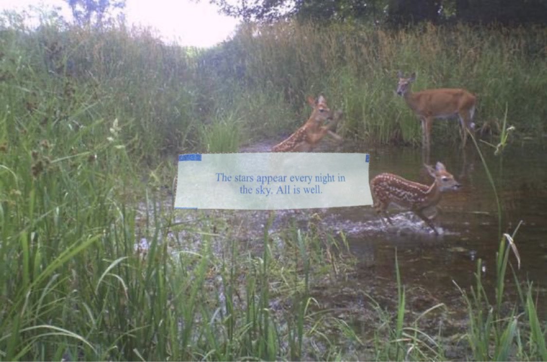 DilettanteryPod's tweet image. 