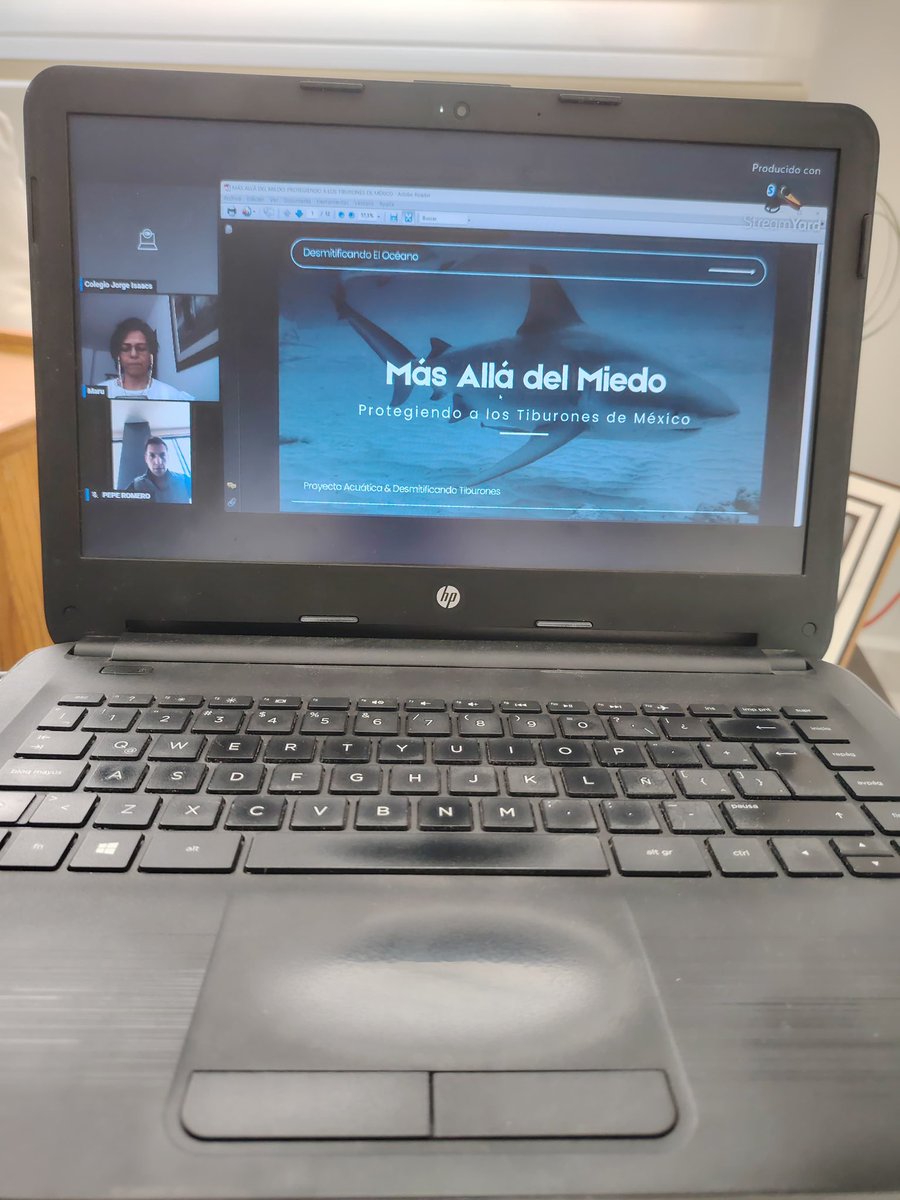 DesmitificandoTiburones tweet media