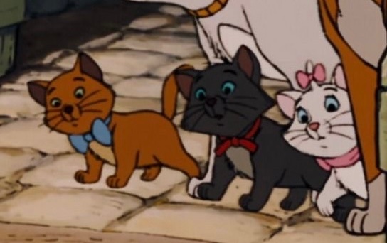 ZB1_ARISTOCATZ's tweet photo. 🐱 spot the difference 👀 https://t.co/iZT0mnUAqs