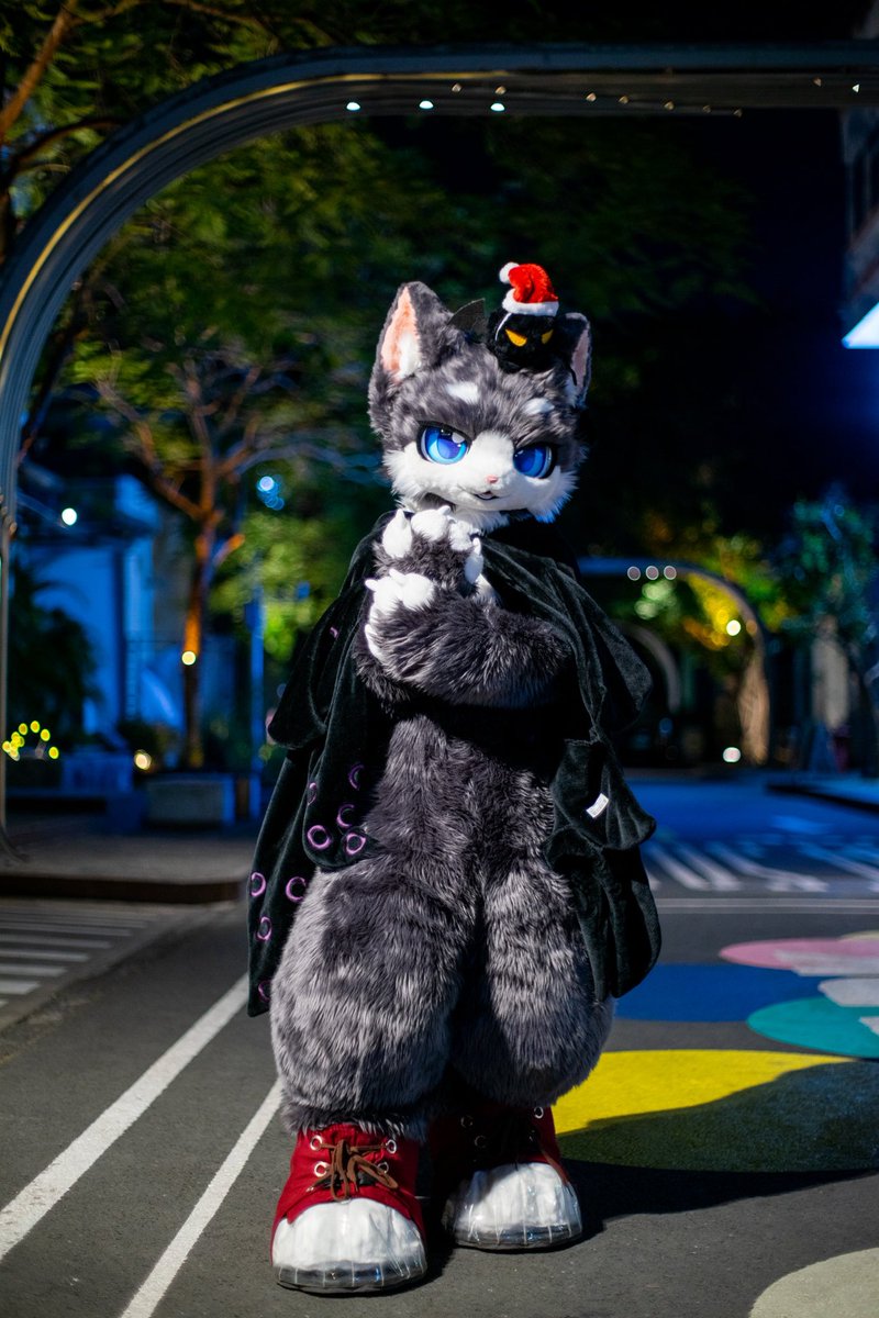 #FursuitEveryday 
夜晚刷新的暗夜猫猫

📷：小华