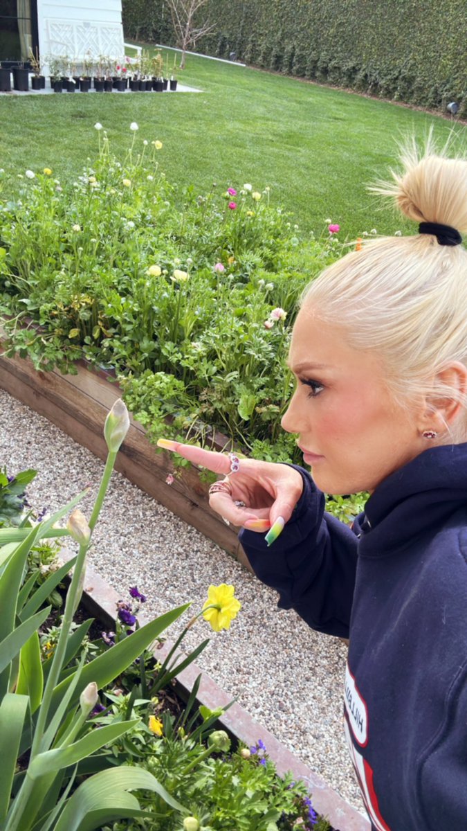 gwenstefani's tweet photo. like the flowers in my garden, my music takes time to grow…💐 Bouquet Deluxe blooms at midnight. gx 

🔗 https://t.co/ovruXbnztM https://t.co/giGGbm3dTG