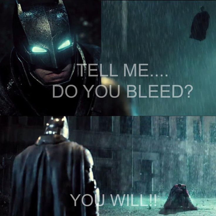 ykevinzhang's tweet image. The markets right now