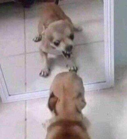Hay uno de mis dos seguidores que dice que soy está en Twitter