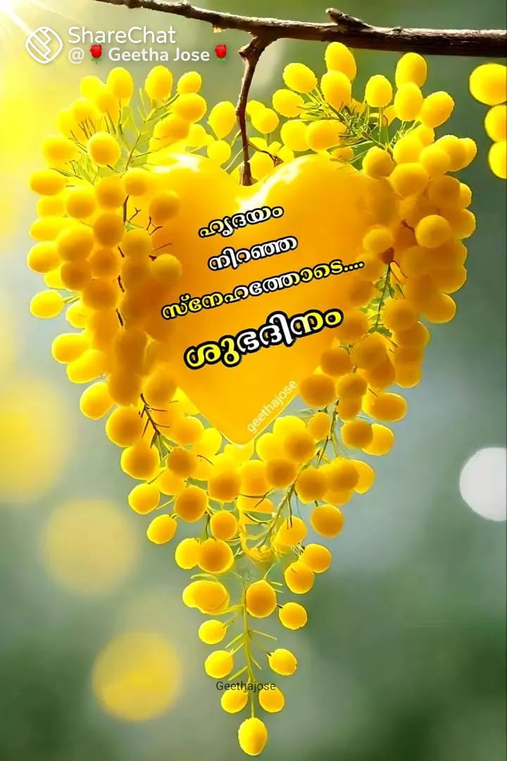 Good morning 🌄🌄🌄
Jumma mubarku 🕌🕌🕌
