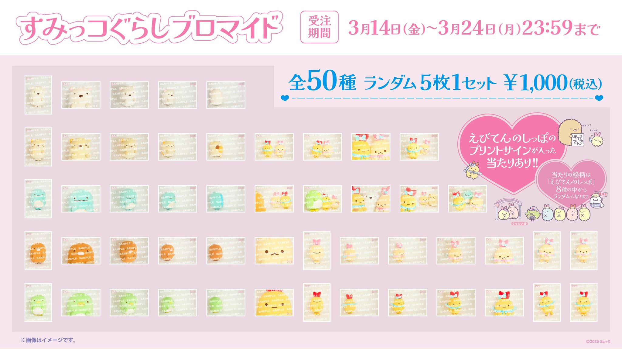 すみっコぐらし ブロマイド 受注 とかげ スタダ便 えびてん えびふらいのしっぽ 商品詳細ページ | ONLINE SHOP スタダ便 | すみっコぐらし
