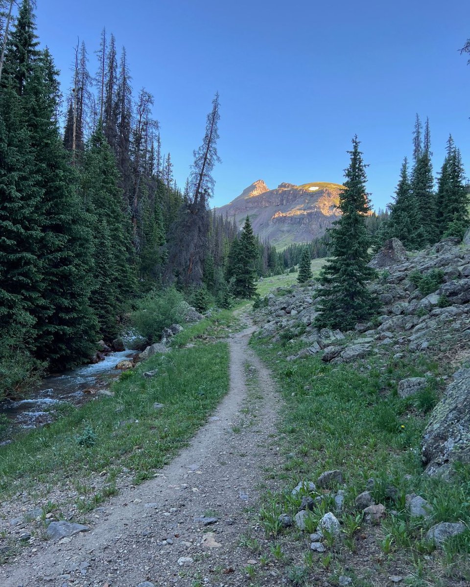 The Next Summit tweet media