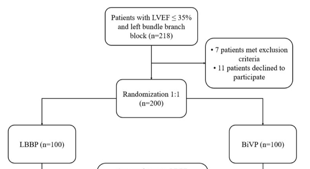 Jose Luis Merino (@joselmerino) on Twitter photo Does LBB pacing improve outcomes vs. BiV pacing in HFrEF & LBBB?
Excited for the results of the multicenter HeartSync LBBP RCT, to be presented at #EHRA2025!
Huge thanks for the submission & congratulations to the authors on this important study! <a href="/EHRAPresident/">EHRAPresident</a> <a href="/simovicst/">Stefan Simović</a> Does LBB pacing improve outcomes vs. BiV pacing in HFrEF & LBBB?
Excited for the results of the multicenter HeartSync LBBP RCT, to be presented at #EHRA2025!
Huge thanks for the submission & congratulations to the authors on this important study! <a href="/EHRAPresident/">EHRAPresident</a> <a href="/simovicst/">Stefan Simović</a>